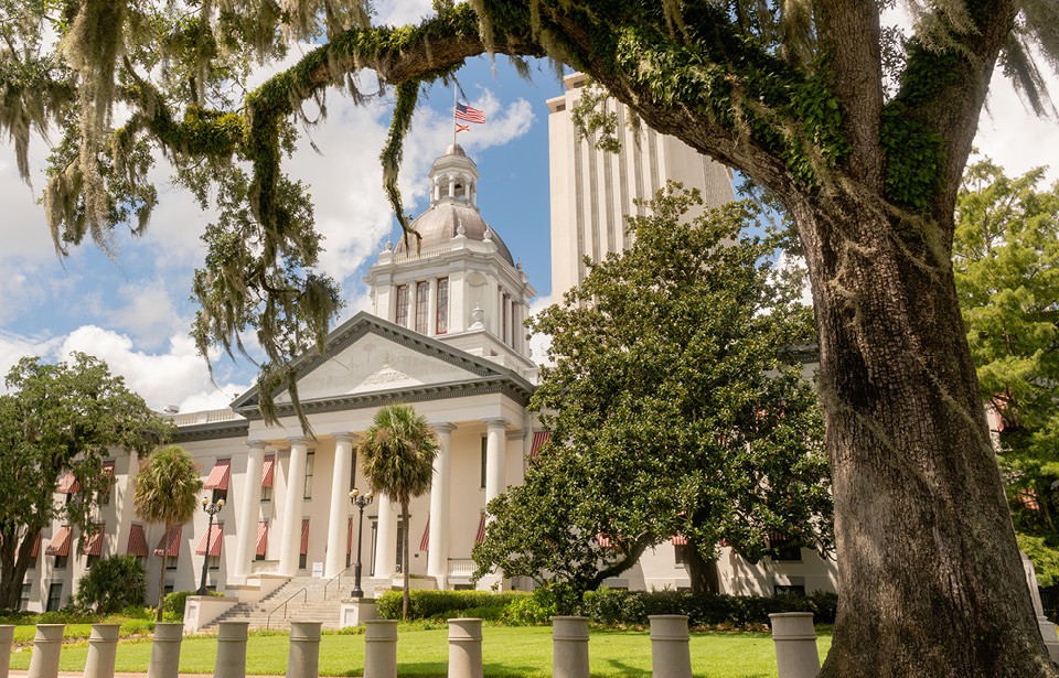 Government Building